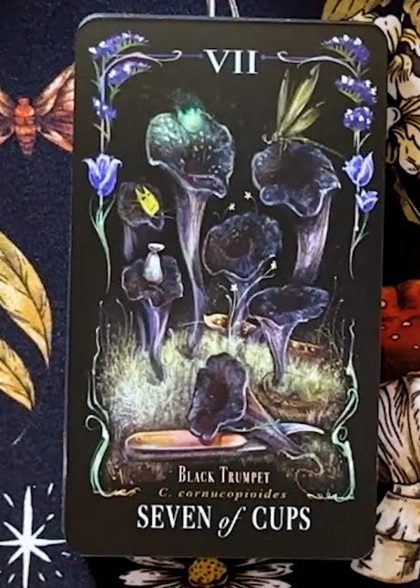 Midnight Magic: A Tarot Deck of Mushrooms